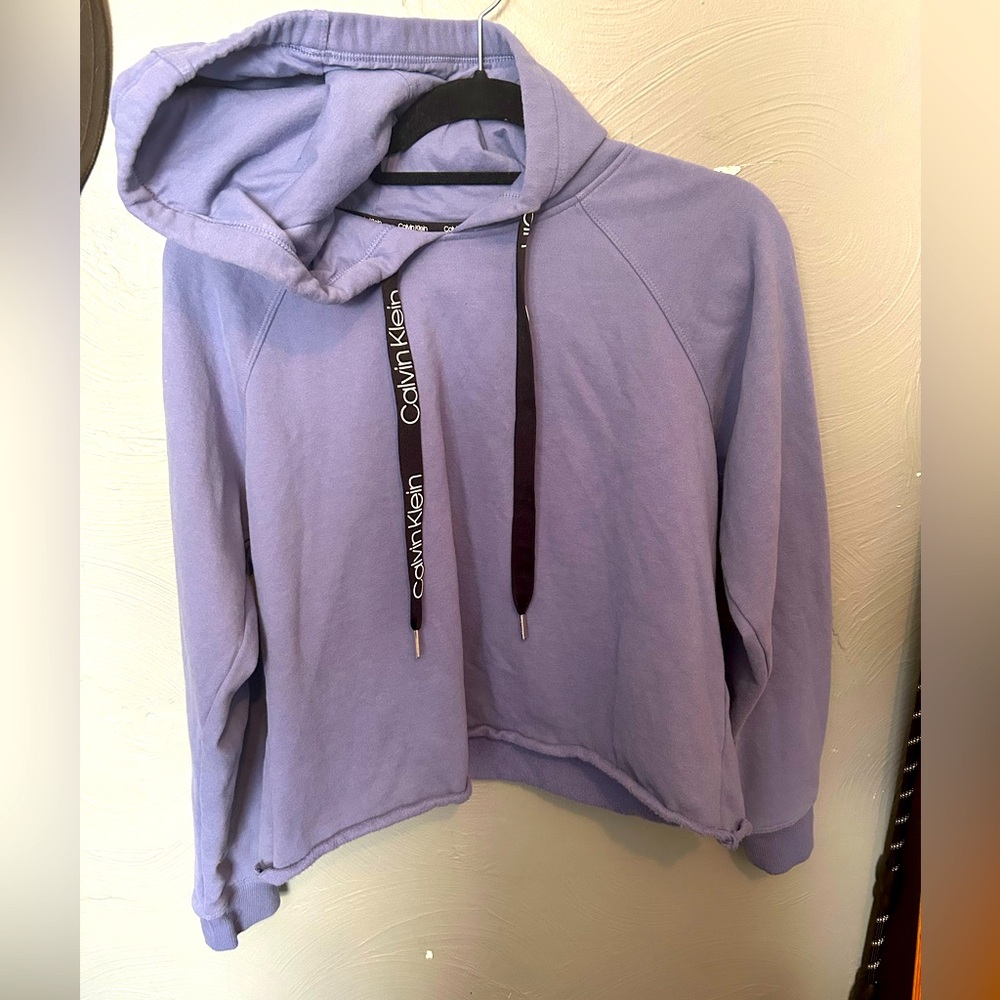 Calvin Klein, hoodie Lilac  medium